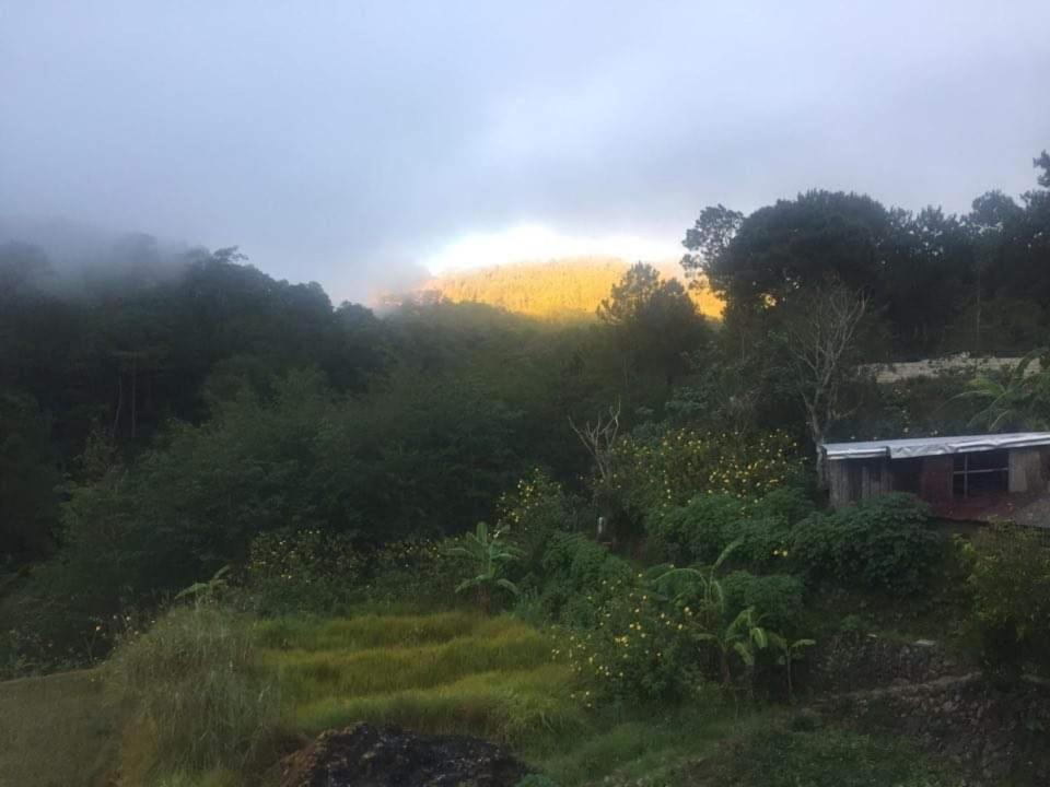 Banga-An Bnb And Coffee House Sagada Kültér fotó